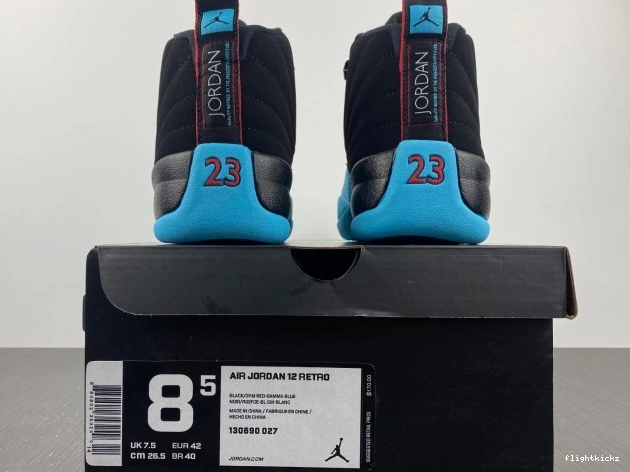 130690-027 Blue Retro 12 Jordan Gamma 0905